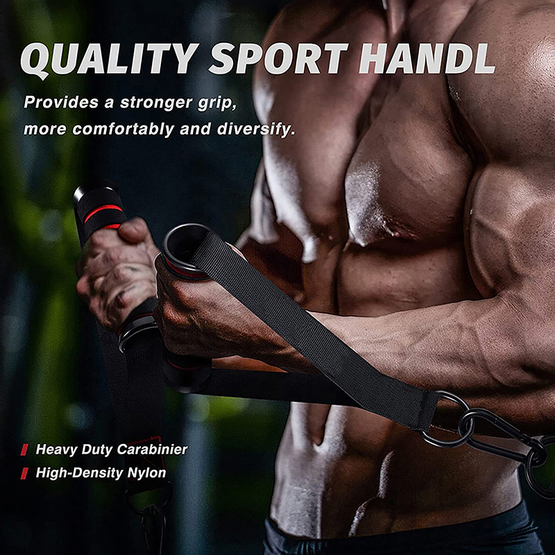 1 Set D-Ring Metall-Gym-Griffe – D Ring Strap Bewertung und Preis